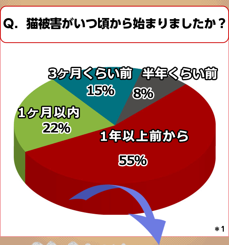 サイクル2