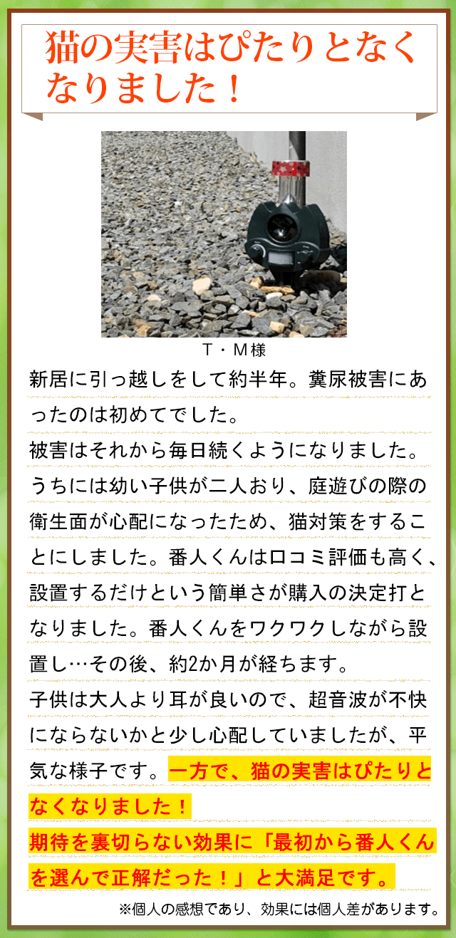 お客様の声4