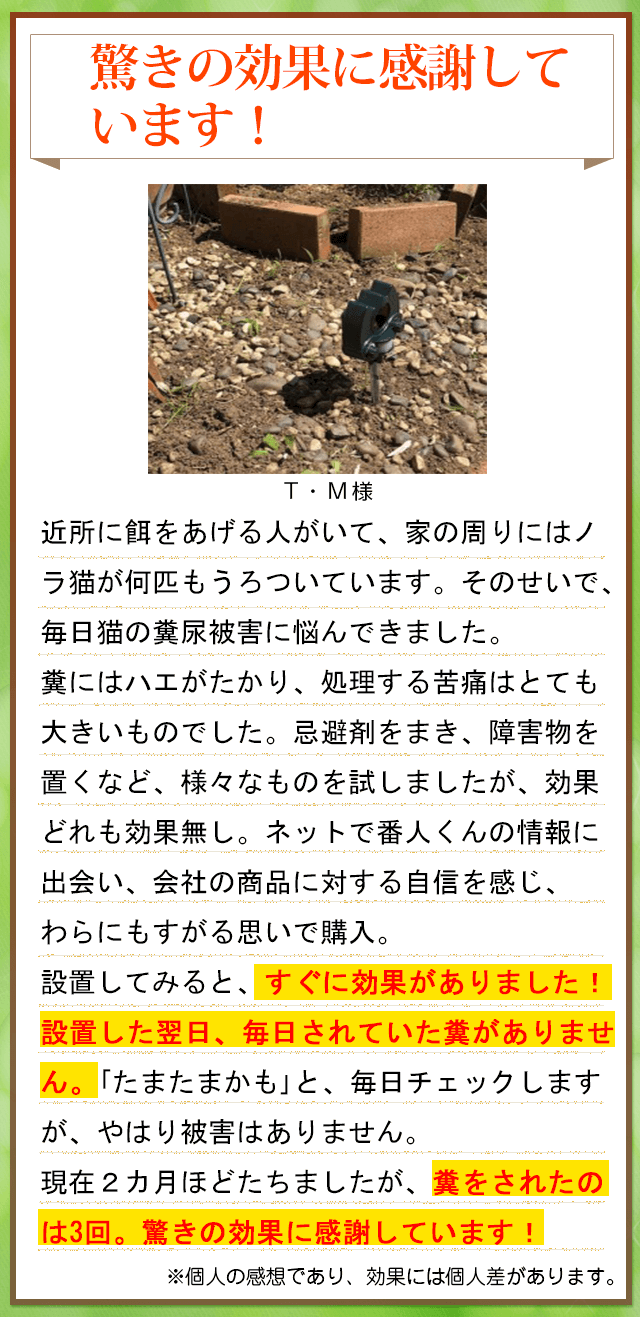 お客様の声6