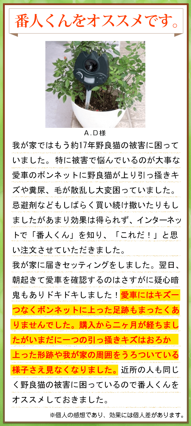 お客様の声9