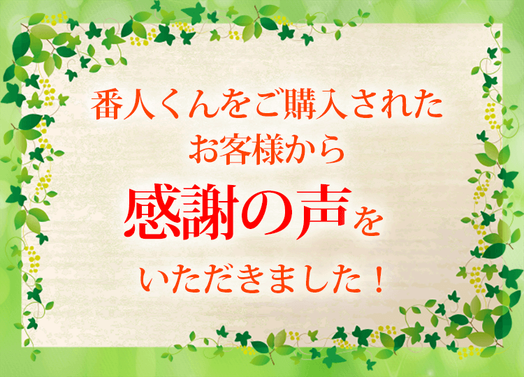 お客様の声タイトル