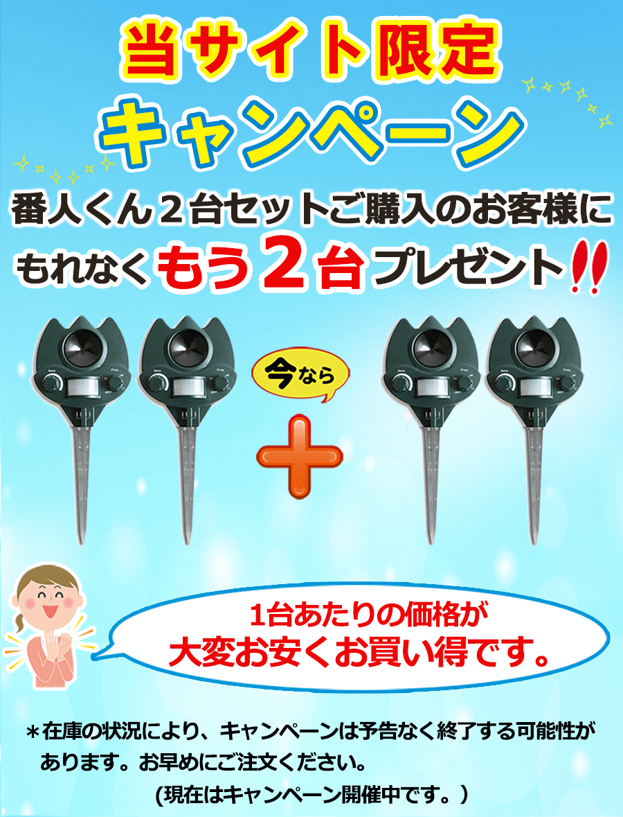 キャンペーン