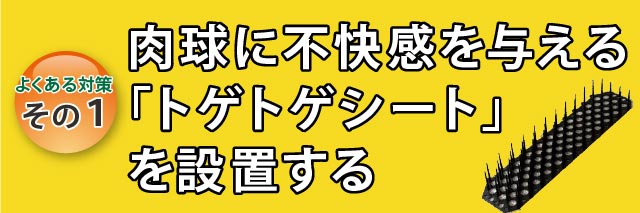 猫よけ対策なら番人くん公式サイト